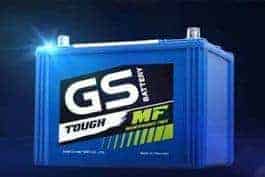 Gs Automotive Battery